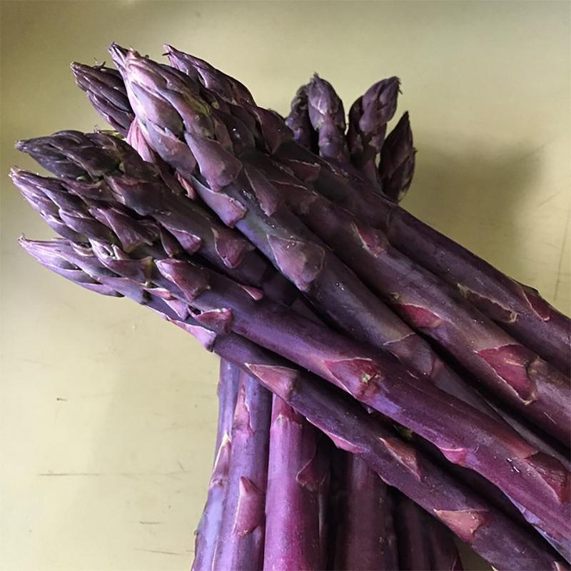 Asparagus Purple Passion Grow Organic