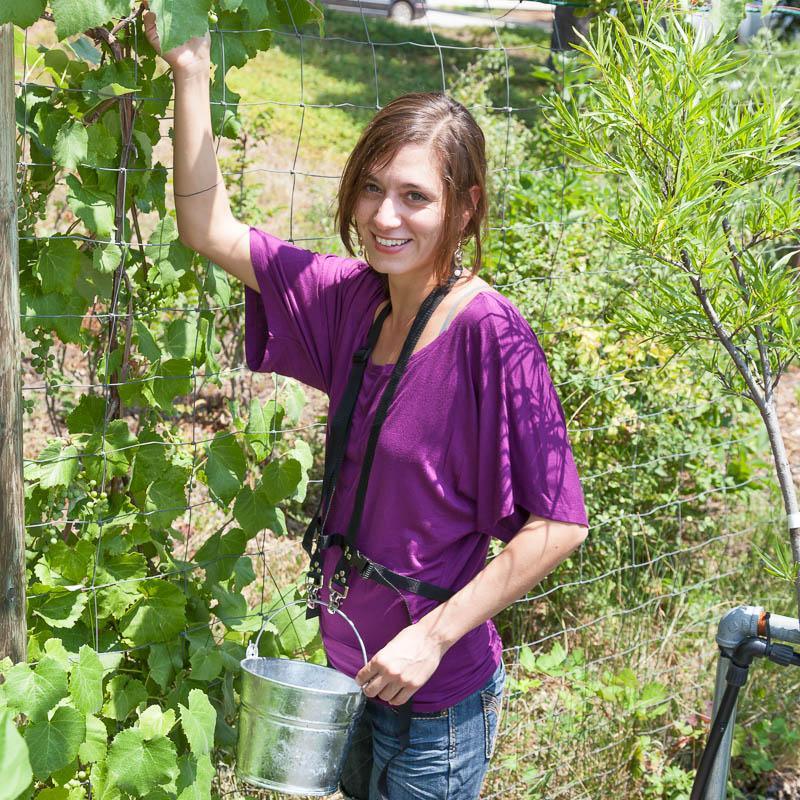 Blueberry Pail Picking Harness Zenport
