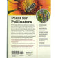 100 Plants to Feed the Bees Grow Organic