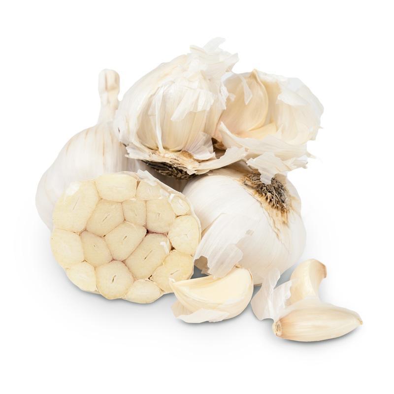 California Late White Garlic (lb) Grow Organic