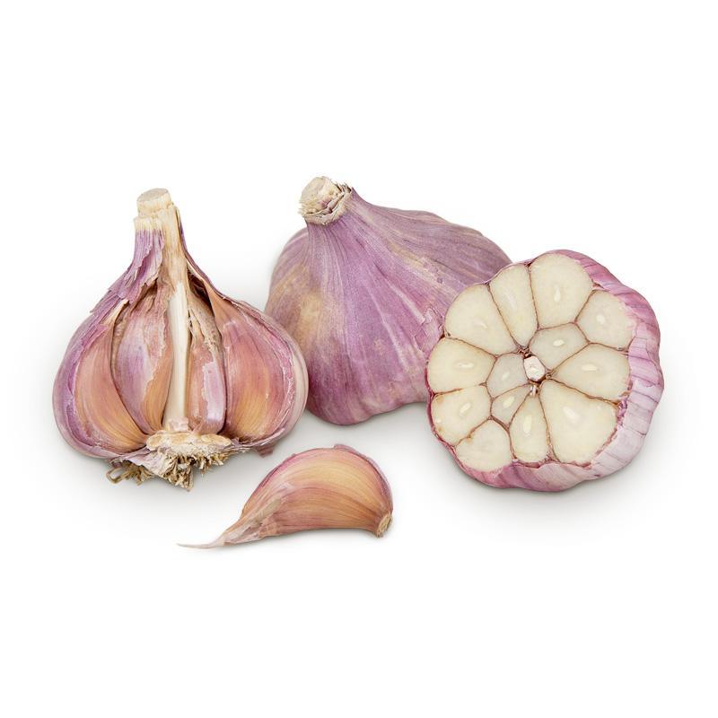 Russian Red Garlic (lb) Grow Organic