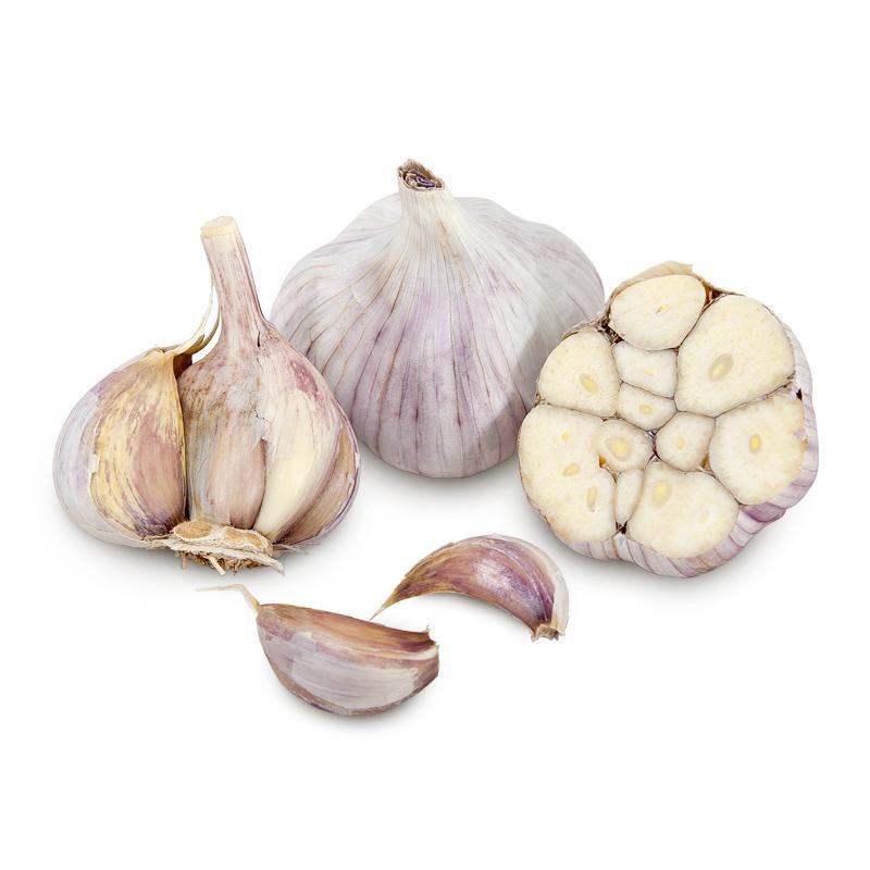 Siberian Garlic (lb) Grow Organic