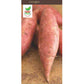 Covington Sweet Potato Grow Organic