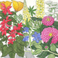 Deer Proof Garden Wildflower Mix (1/4 lb) Peaceful Valley