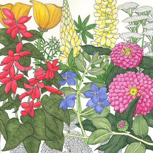 Deer Proof Garden Wildflower Mix (1/4 lb) Peaceful Valley