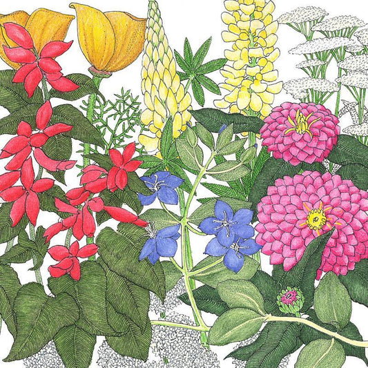 Deer Proof Garden Wildflower Mix (lb) SpringSale2023
