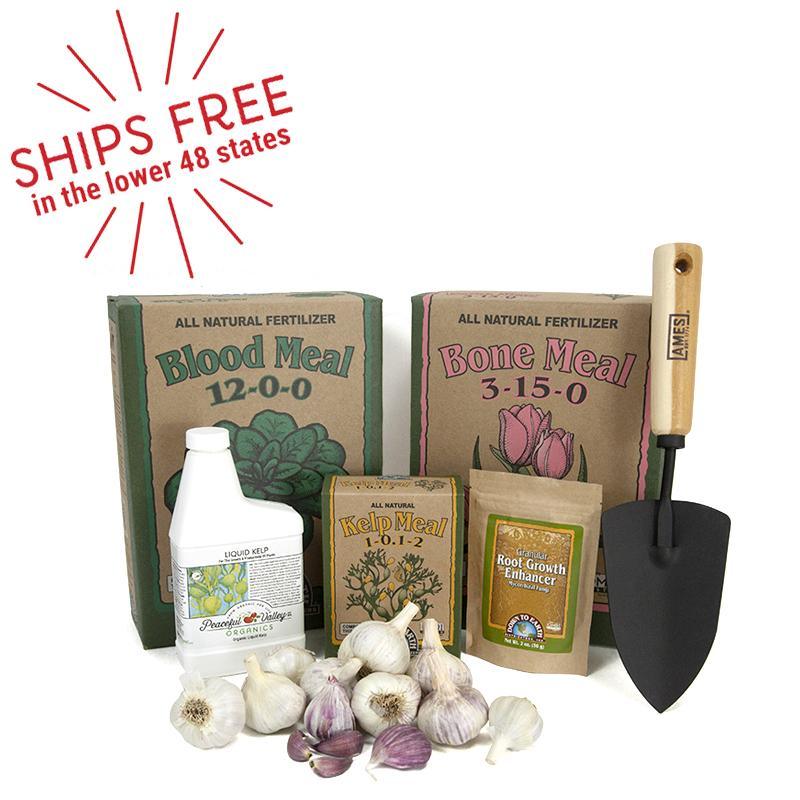 Down to Earth Organic Garlic Growing Kit Grow Organic
