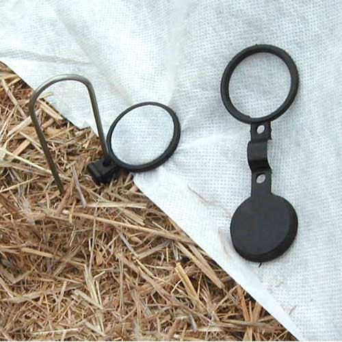 Ground Staples (Box of 1000) DeWitt