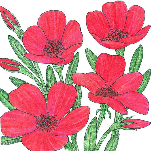 Flax, Scarlet (1/4 lb) Peaceful Valley