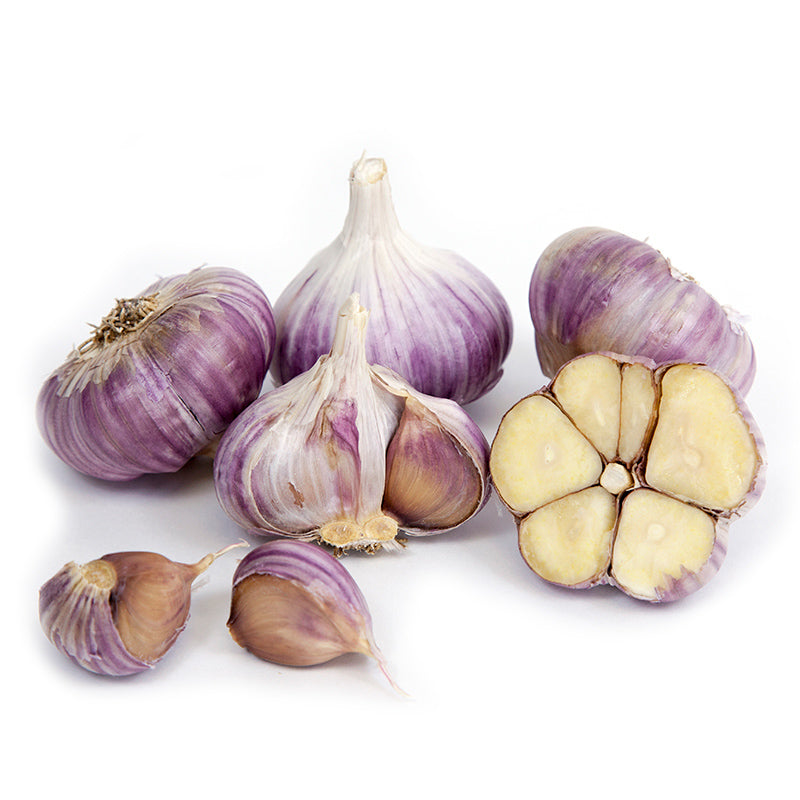 Organic Garlic, Russian Red (lb) Grow Organic