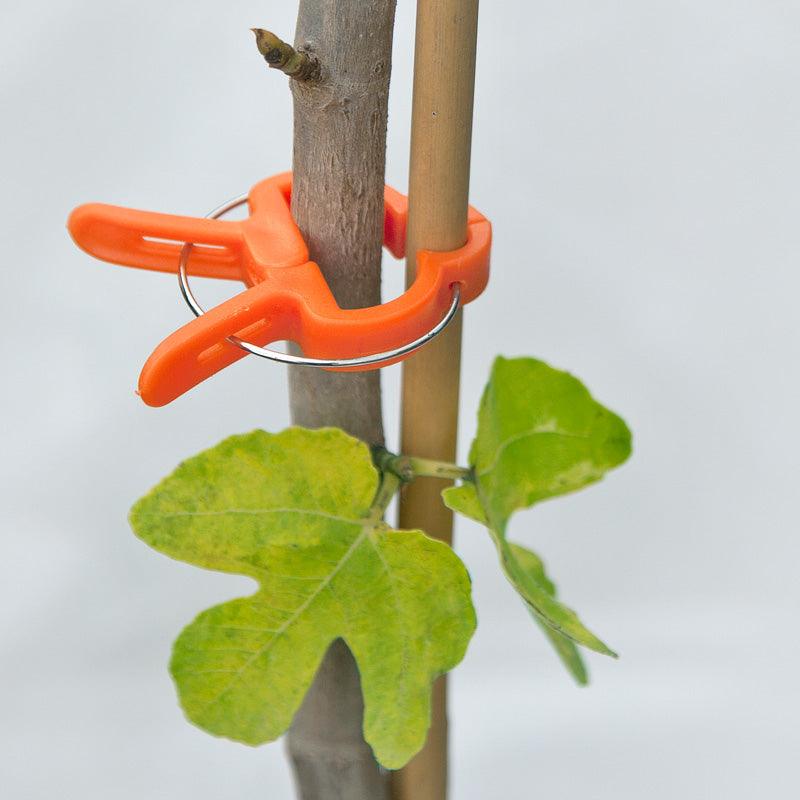 Zenport Vine & Branch Clip, Small Grow Organic