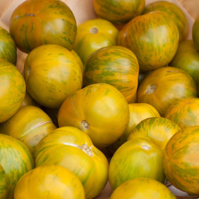 Green Zebra Tomato Seeds (Organic) Peaceful Valley