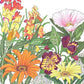 Low Growing Wildflower Mix (1/4 lb) Peaceful Valley