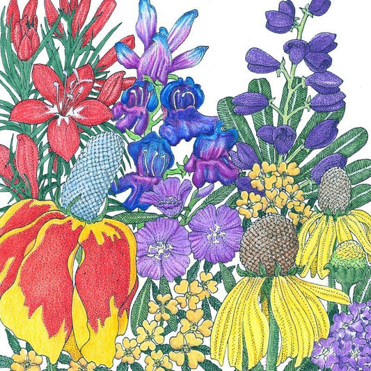 North American Perennial Wildflower Mix (lb) Peaceful Valley