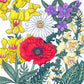 North American Shade Wildflower Mix (1/4 lb) Peaceful Valley