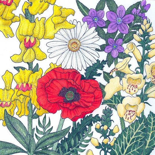 North American Shade Wildflower Mix (1/4 lb) Peaceful Valley