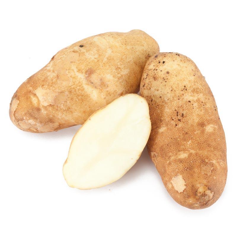 Burbank Russet Potato (Organic) Grow Organic