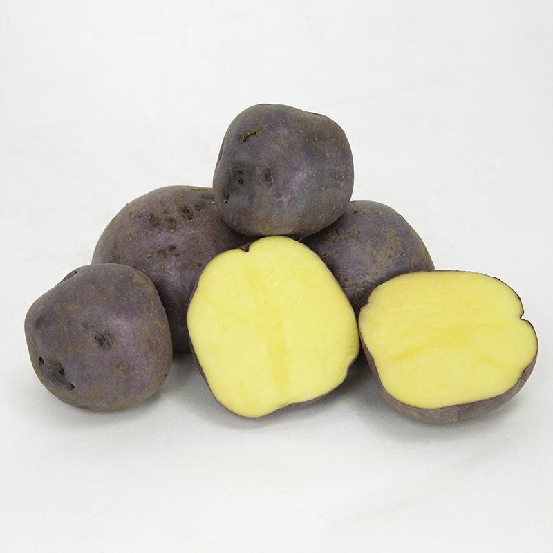 Huckleberry Gold Potato (Organic) Grow Organic