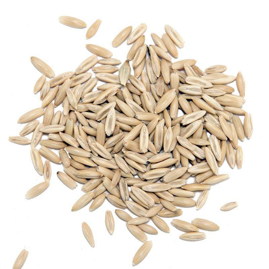 Organic White Oats Seed (lb) Grow Organic