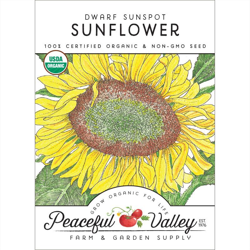 Dwarf Sunspot Sunflower Seeds (Organic) Peaceful Valley