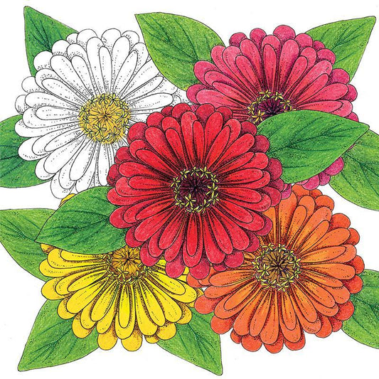 Organic Zinnia, Thumbelina Mix 1 oz Peaceful Valley