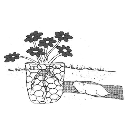 Gopher Wire (3' x 100' roll) Digger's