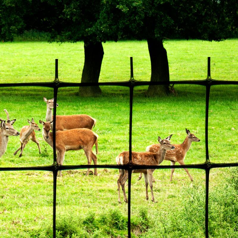 Deer Fence C-Flex (6' X 100') Tenax
