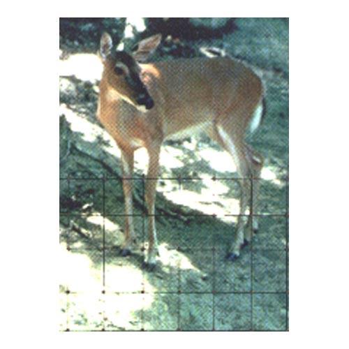 Deer Fencing (7.5'X 330') Tenax