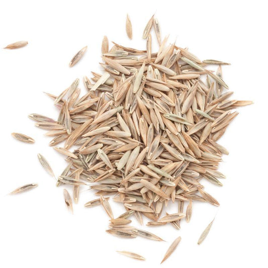 Peaceful Valley Premium Lawn Seed Mix (25 lb bag) Peaceful Valley