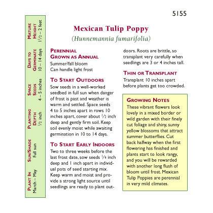 Mexican Tulip Poppy Flower Seeds Renee's Garden