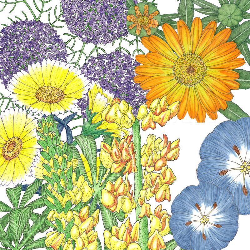 Peaceful Valley Flowering Pollinator Mix (lb) SpringSale2023
