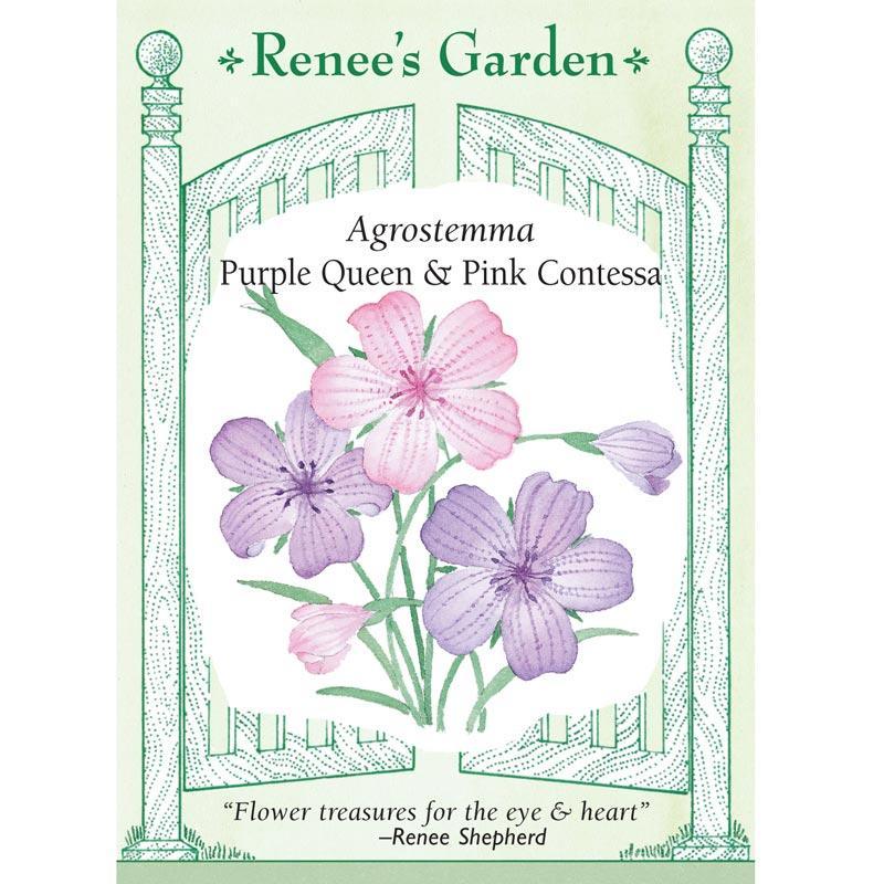Purple Queen and Pink Contessa Agrostemma Flower Seeds Renee's Garden