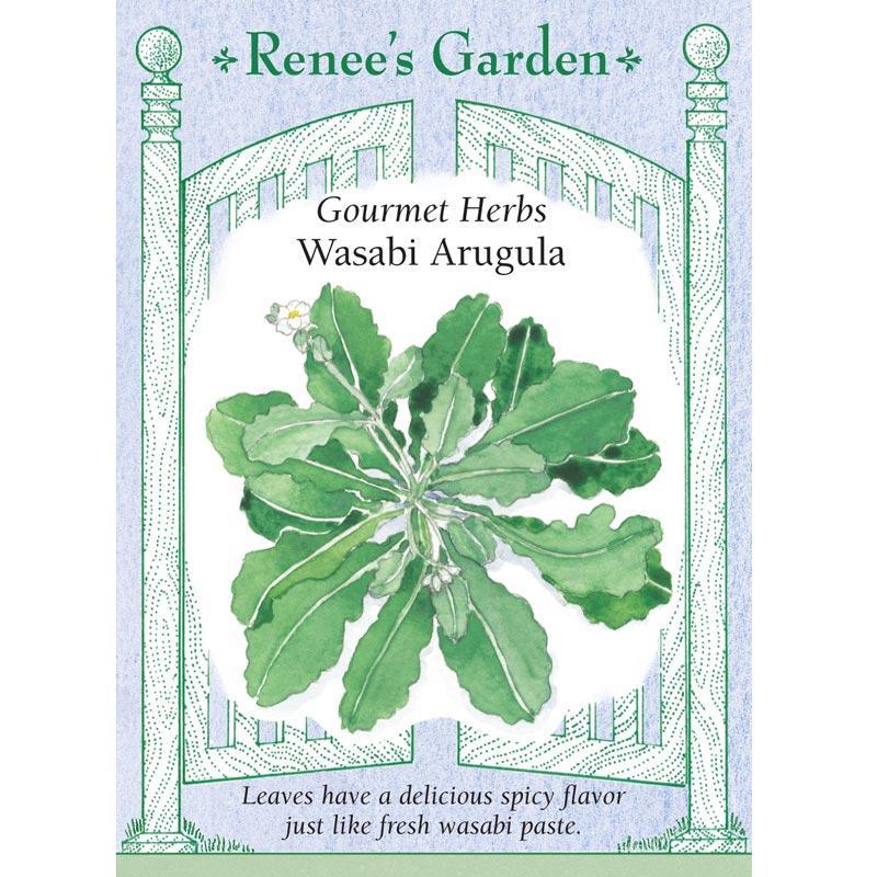 Wasabi Arugula Seeds Renee's Garden