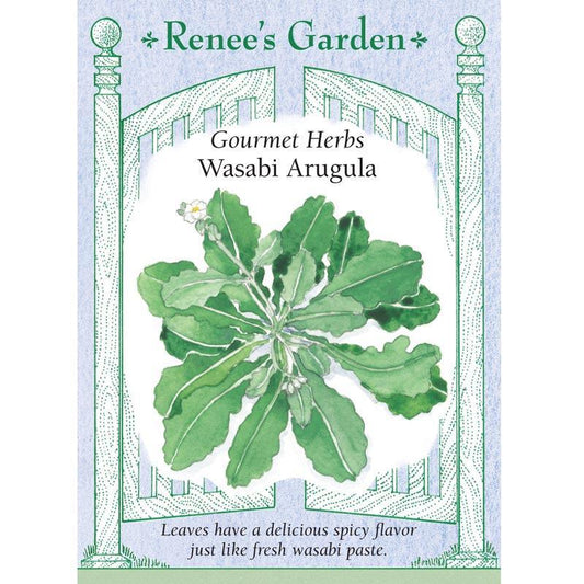 Wasabi Arugula Seeds Renee's Garden