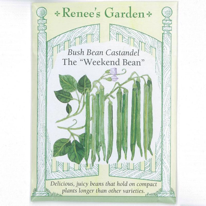 Castandel Weekend Bush Bean Seeds Renee's Garden