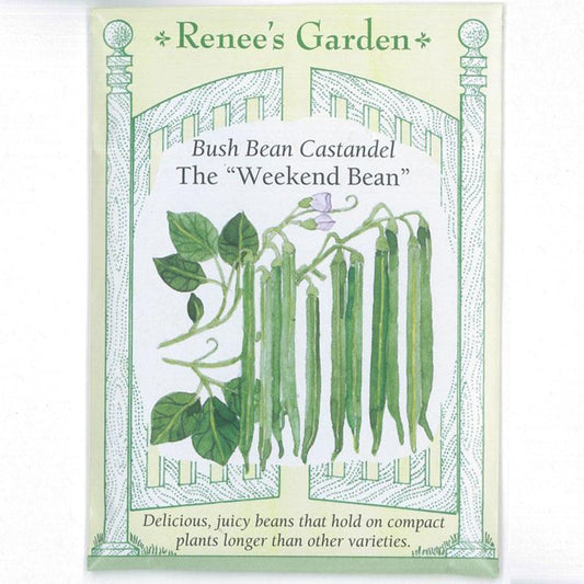 Castandel Weekend Bush Bean Seeds Renee's Garden