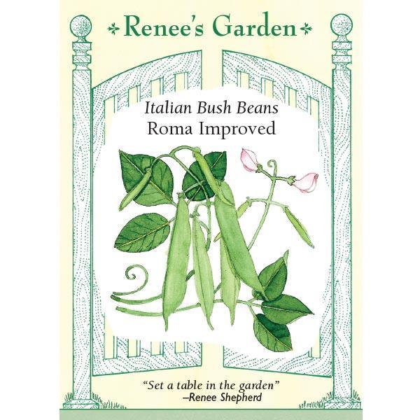 Roma Improved Bush Bean Seeds Renee's Garden
