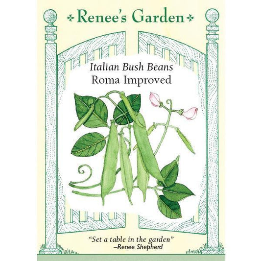 Roma Improved Bush Bean Seeds Renee's Garden