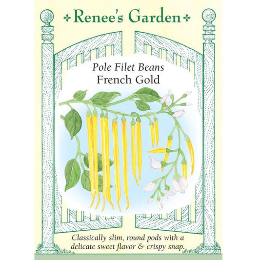 French Gold Filet Pole Bean Seeds Renee's Garden