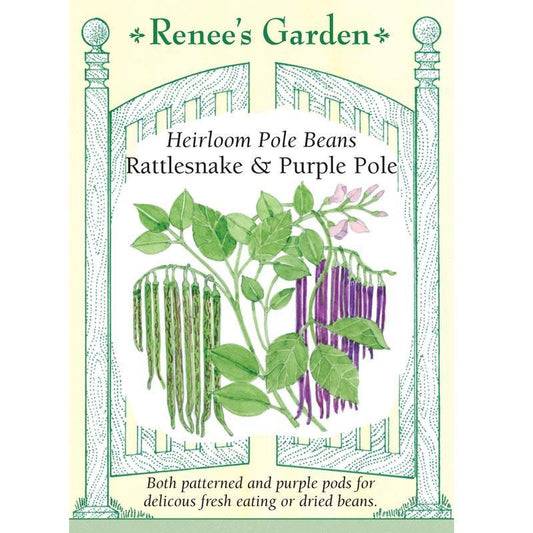 Rattlesnake Ice & Purple Pod Pole Bean Seed Mix Renee's Garden