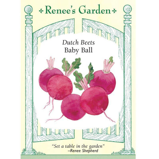 Dutch Baby Ball Beet Seeds Renee's Garden