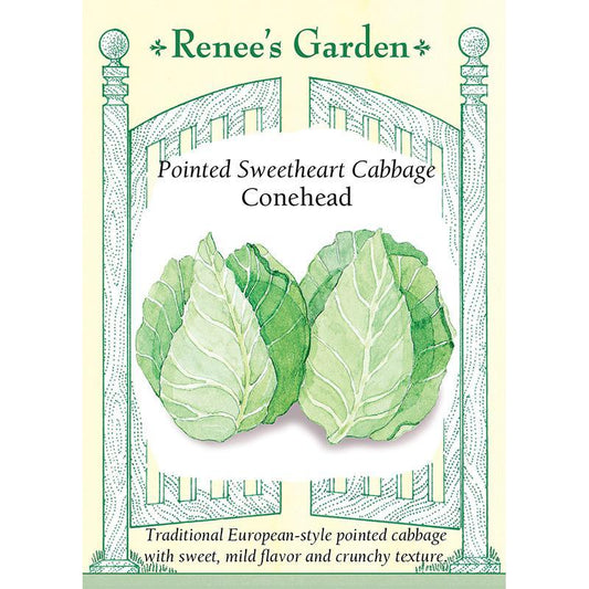 Pointed Sweetheart Conehead Cabbage Seeds Renee's Garden