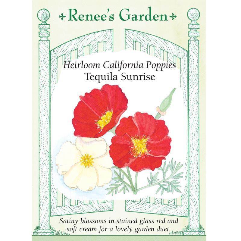 Tequila Sunrise California Poppy Flower Seeds Renee's Garden
