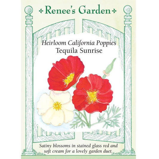 Tequila Sunrise California Poppy Flower Seeds Renee's Garden
