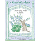 Catmint Seeds Renee's Garden
