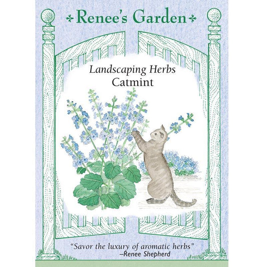Catmint Seeds Renee's Garden