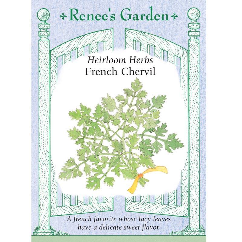 French Chervil Seeds Renee's Garden
