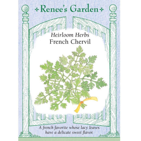 French Chervil Seeds Renee's Garden