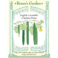 Chelsea Prize English Cucumber Seeds Renee's Garden