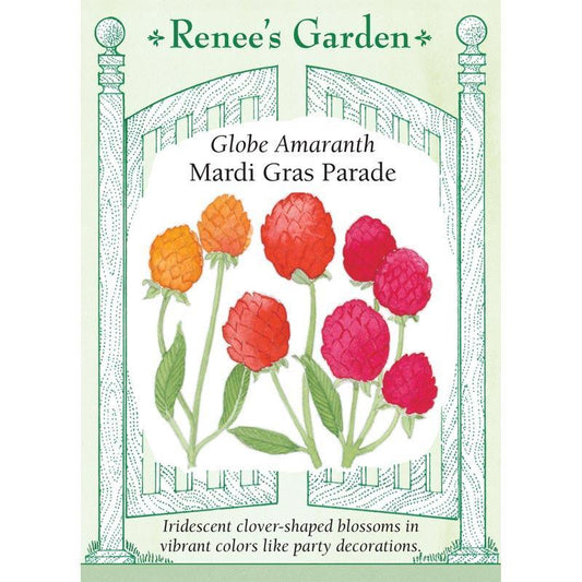 Mardi Gras Parade Globe Amaranth Flower Seeds Renee's Garden